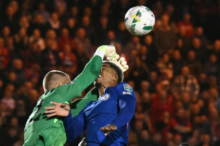 tenan, img, https tenan, img, https